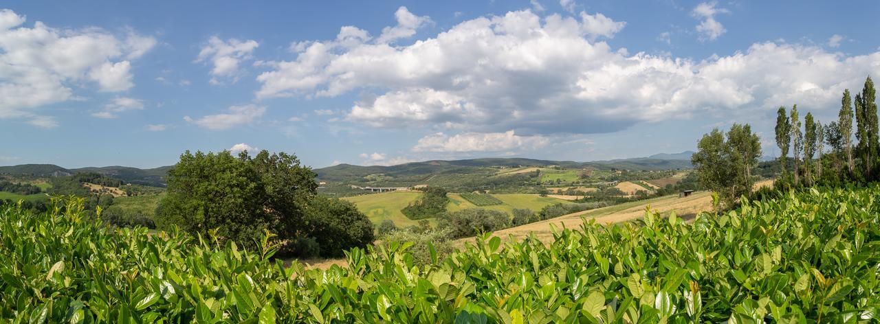 Agriturismo Dei Casali Amelia Esterno foto